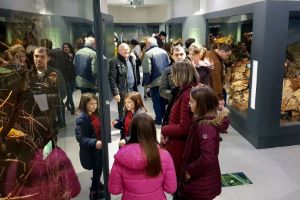 Klikni za veliku sliku