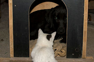 Klikni za veliku sliku