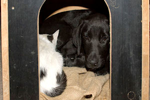 Klikni za veliku sliku