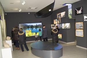 Klikni za veliku sliku