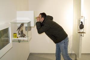 Klikni za veliku sliku