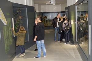 Klikni za veliku sliku