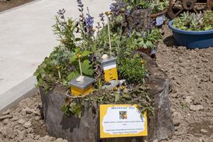 Klikni za veliku sliku