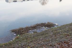 Klikni za veliku sliku Klikni za veliku sliku