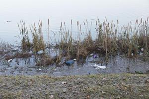 Klikni za veliku sliku Klikni za veliku sliku