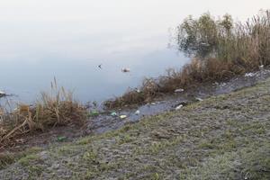 Klikni za veliku sliku Klikni za veliku sliku