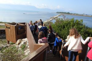 Klikni za veliku sliku