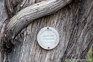 Klikni za veliku sliku