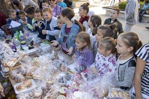 Klikni za veliku sliku Klikni za veliku sliku