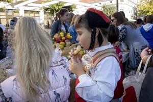 Klikni za veliku sliku Klikni za veliku sliku