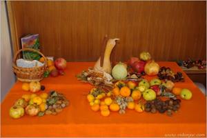 Klikni za veliku sliku Klikni za veliku sliku