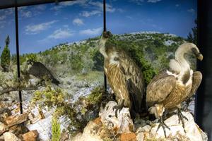 Klikni za veliku sliku