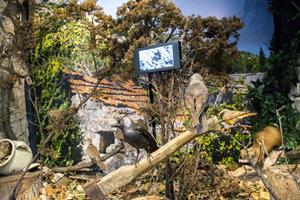 Klikni za veliku sliku