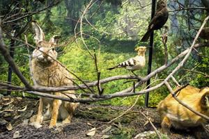 Klikni za veliku sliku