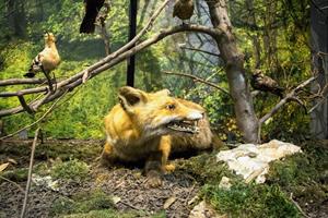 Klikni za veliku sliku