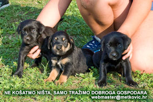 Klikni za veliku sliku