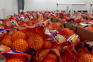 Klikni za veliku sliku