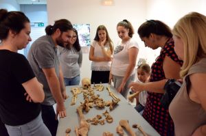 Klikni za veliku sliku