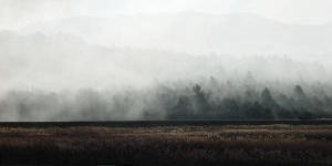 Dubravica, u prvom planu nasip obodnog kanala