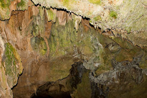 Klikni za veliku sliku