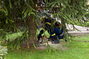 Klikni za veliku sliku