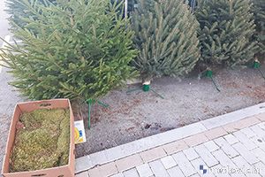 Klikni za veliku sliku