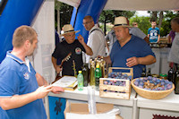 Klikni za veliku sliku Klikni za veliku sliku