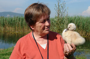 Klikni za veliku sliku