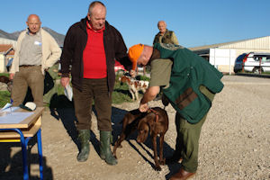 Klikni za veliku sliku