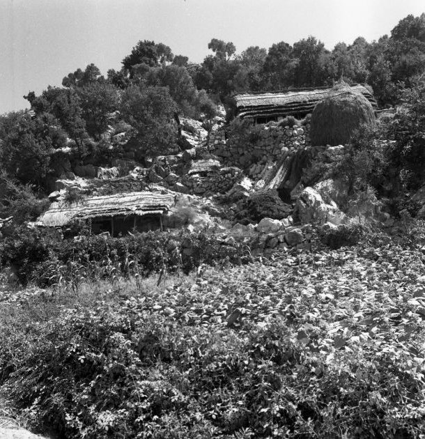 Klikni za veliku sliku