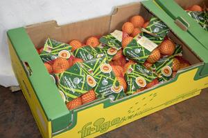 Klikni za veliku sliku