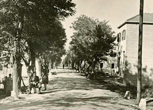 Klikni za veliku sliku