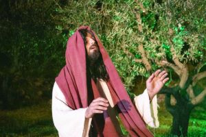 Klikni za veliku sliku