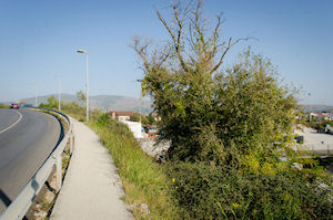 Klikni za veliku sliku