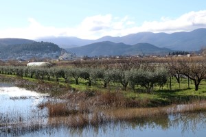 Klikni za veliku sliku