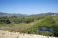 Klikni za veliku sliku Klikni za veliku sliku