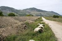 Klikni za veliku sliku Klikni za veliku sliku