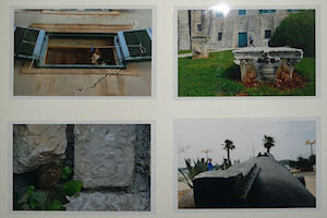 Klikni za veliku sliku