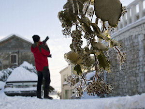 Klikni za veliku sliku