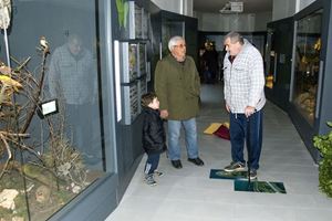 Klikni za veliku sliku