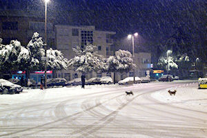 Klikni za veliku sliku