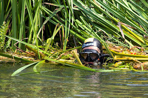 Klikni za veliku sliku