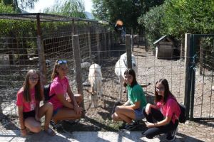 Klikni za veliku sliku