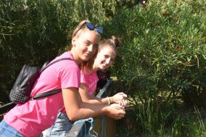 Klikni za veliku sliku