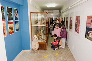 Klikni za veliku sliku