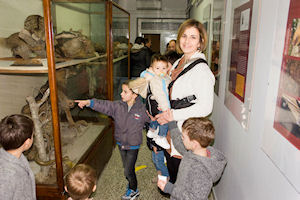 Klikni za veliku sliku