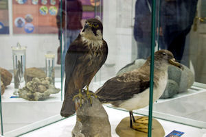 Klikni za veliku sliku