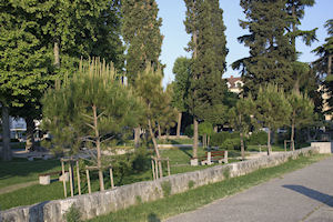 Klikni za veliku sliku