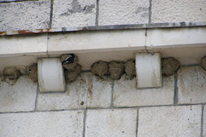 Klikni za veliku sliku