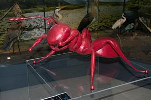 Klikni za veliku sliku